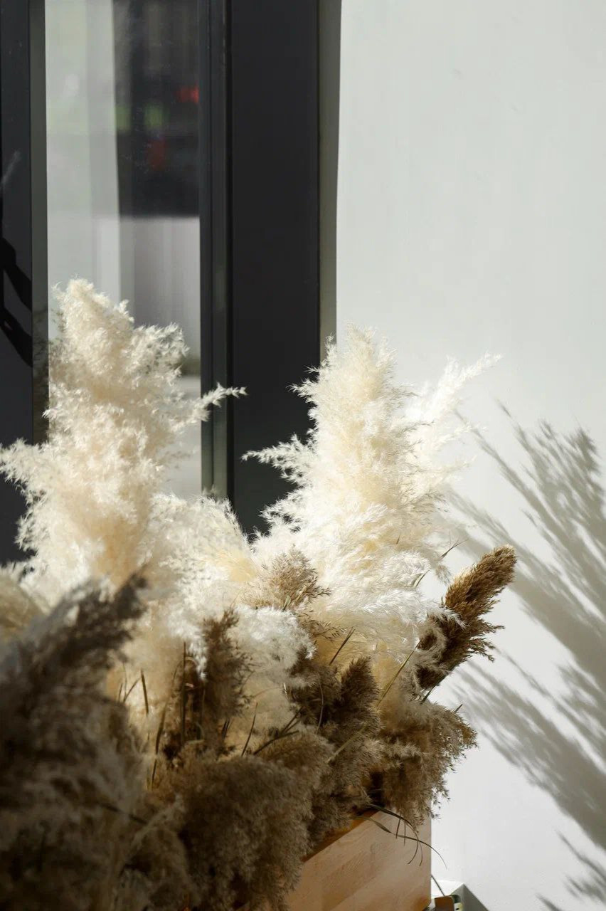 Проект кофейни