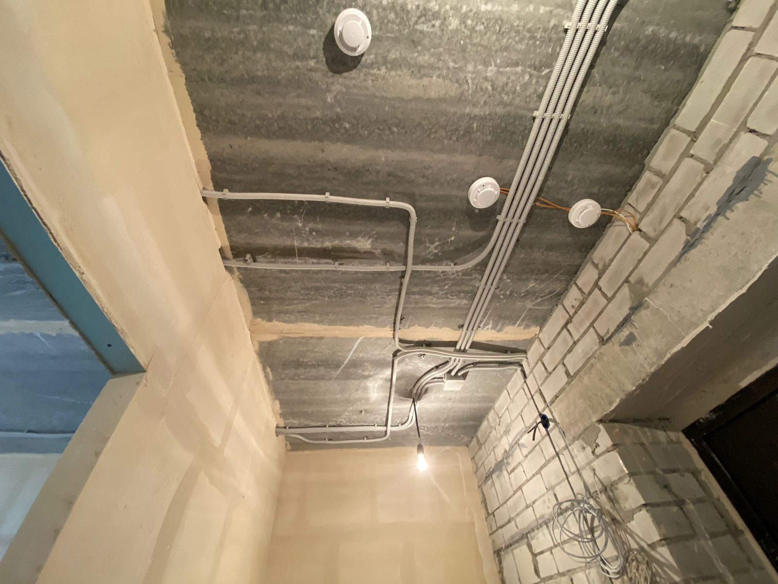 Виктор Старцев