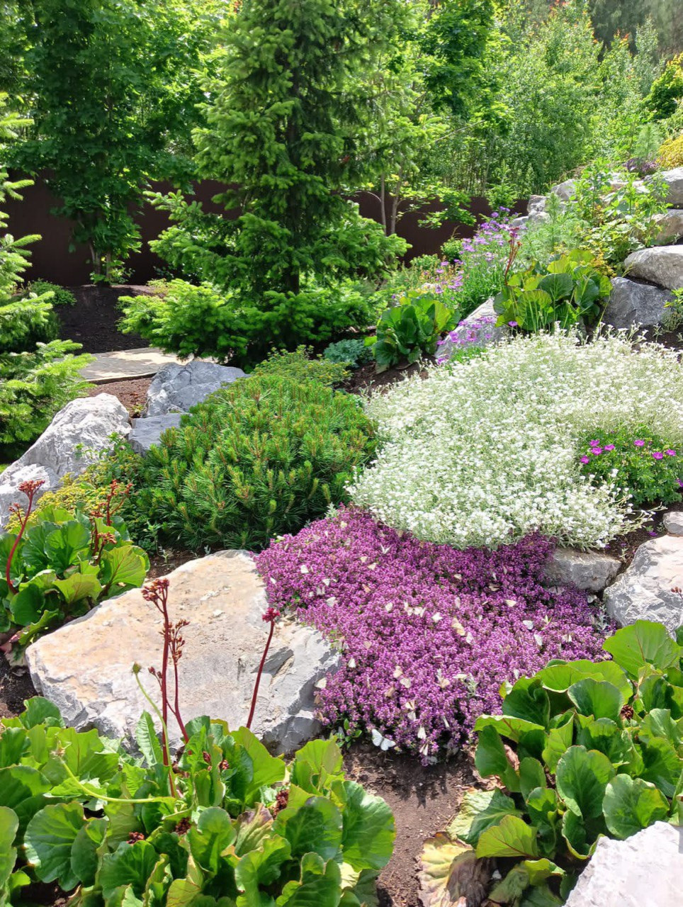 Лесной сад