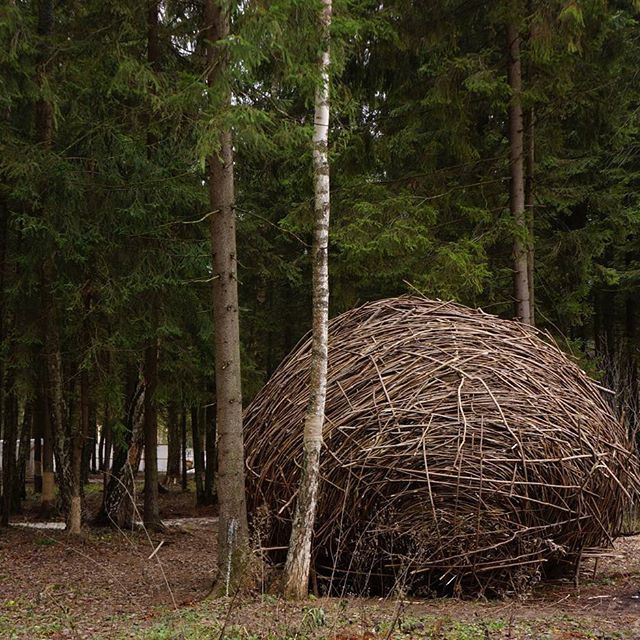 гнездо