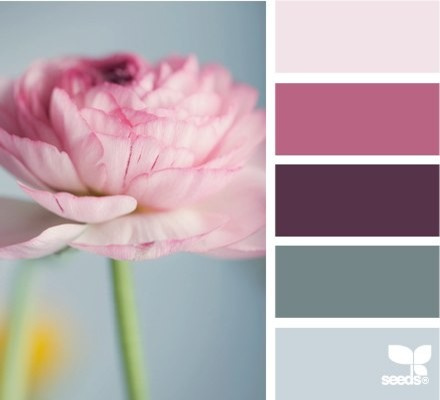 Color