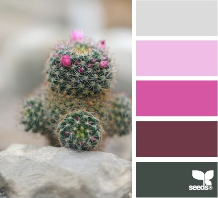 Color