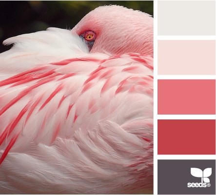 Color