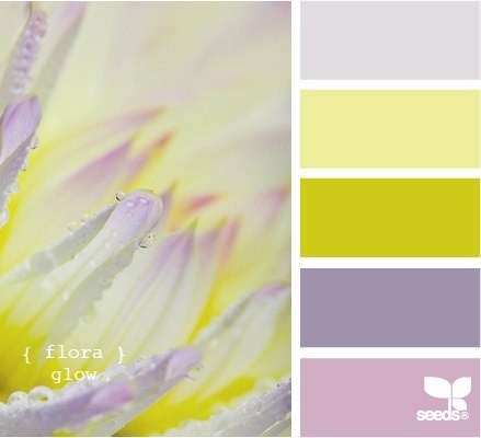 Color