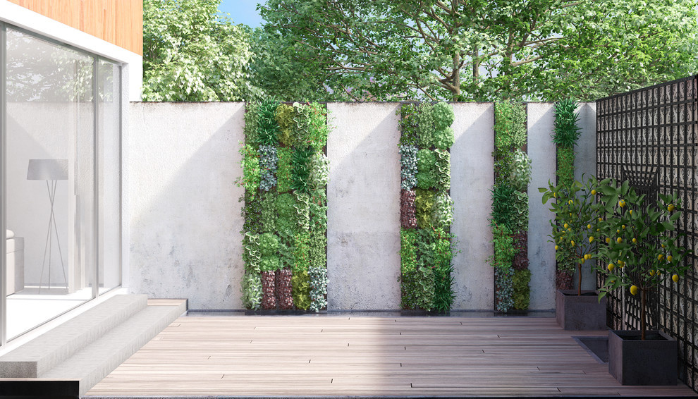 Illusion garden