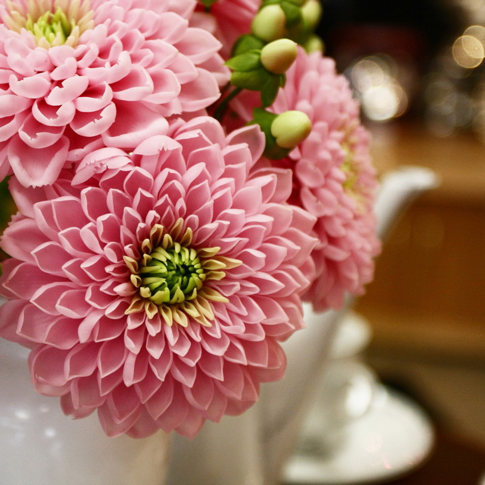 Clay Flowers