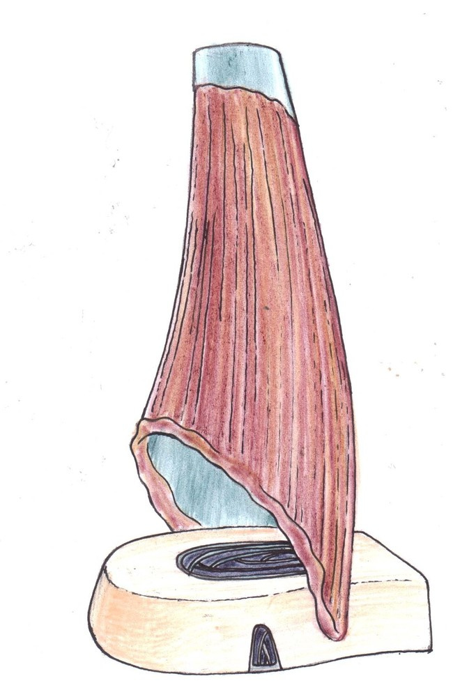 Fireplaces / Sketches