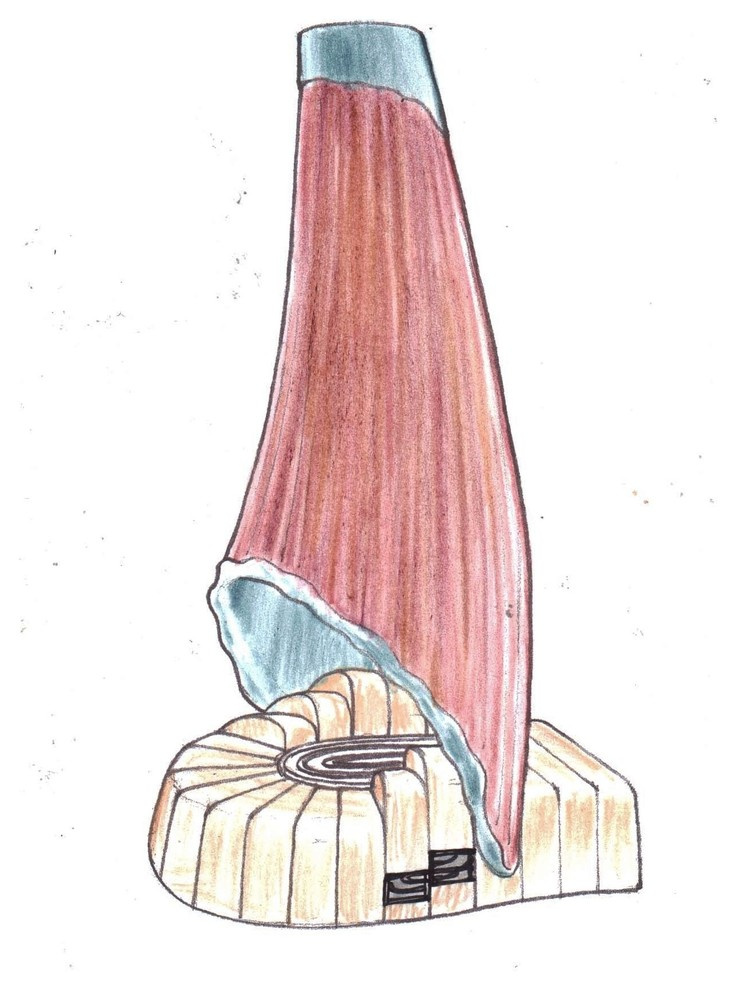 Fireplaces / Sketches