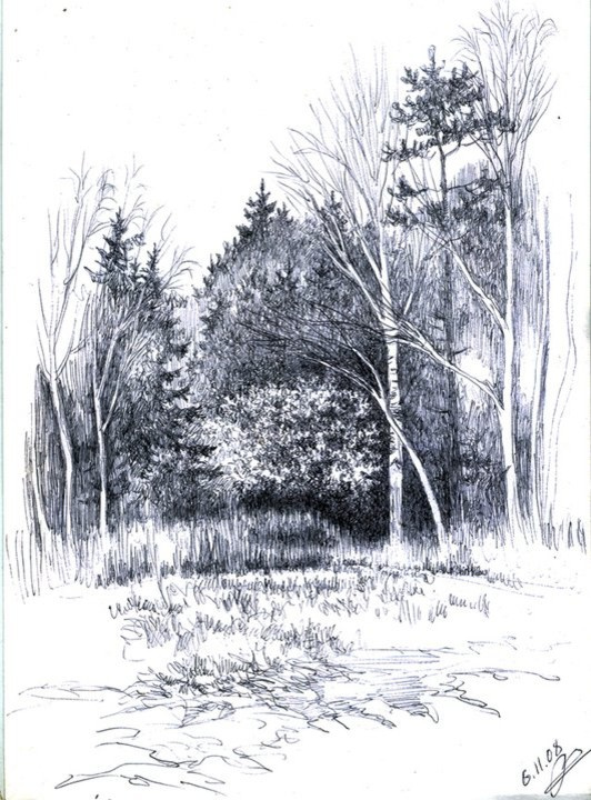 Фоновое изображение профиля Александр Прохоров