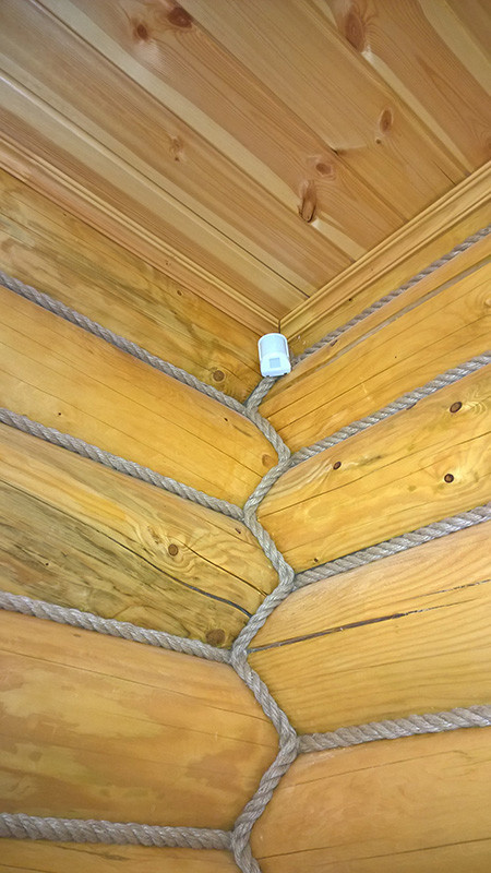 Алексей Дмитриев