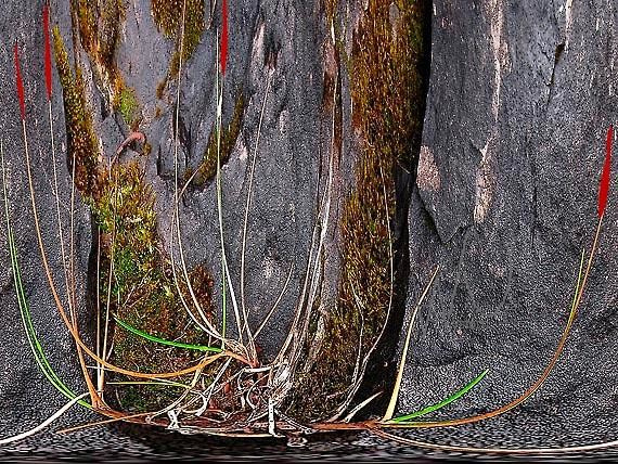 Анатолий Долматов