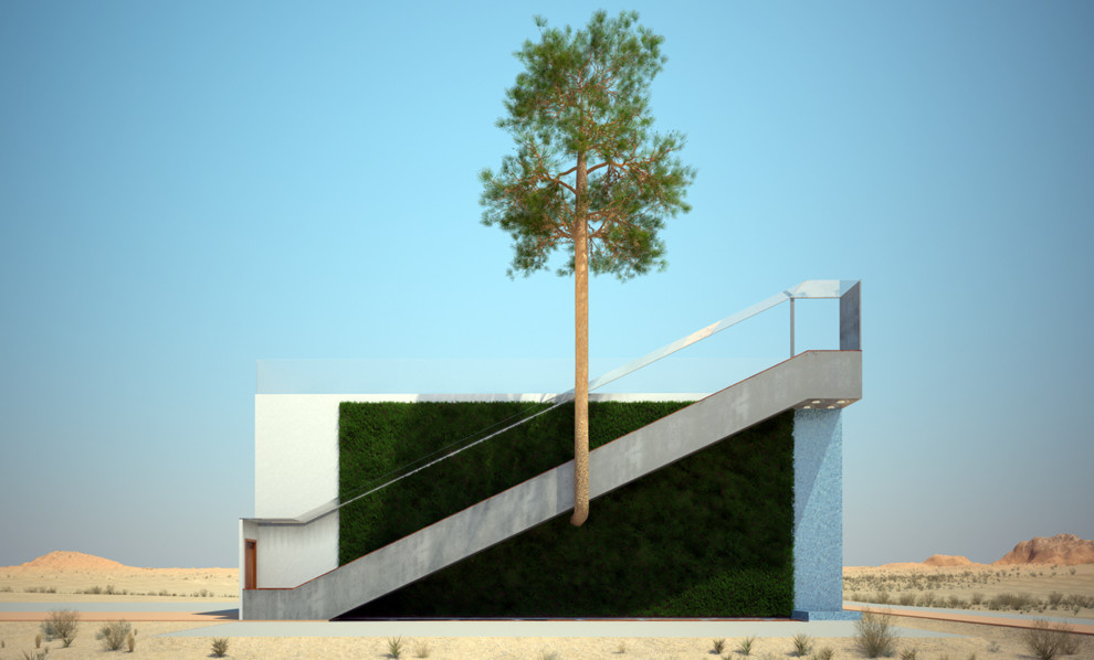 Обложка проекта: Tree museum