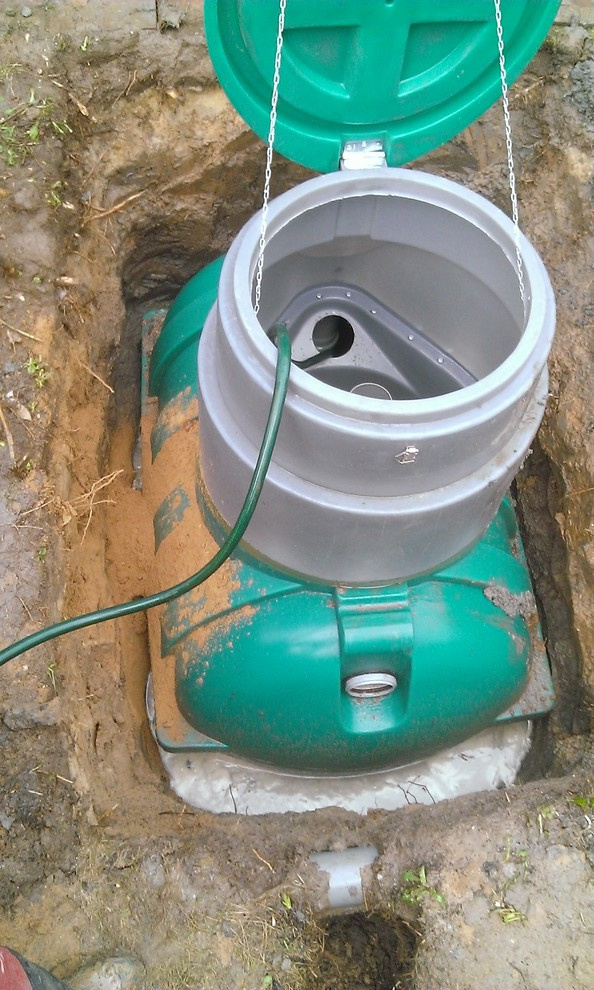 Дмитрий Дагоцкий