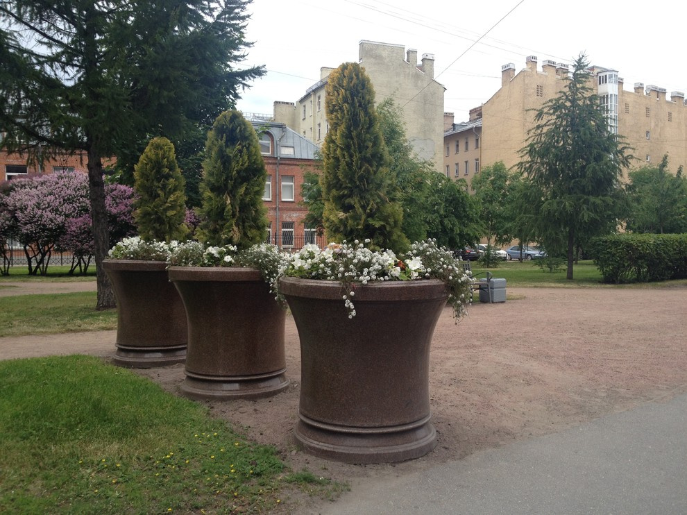 Портфолио