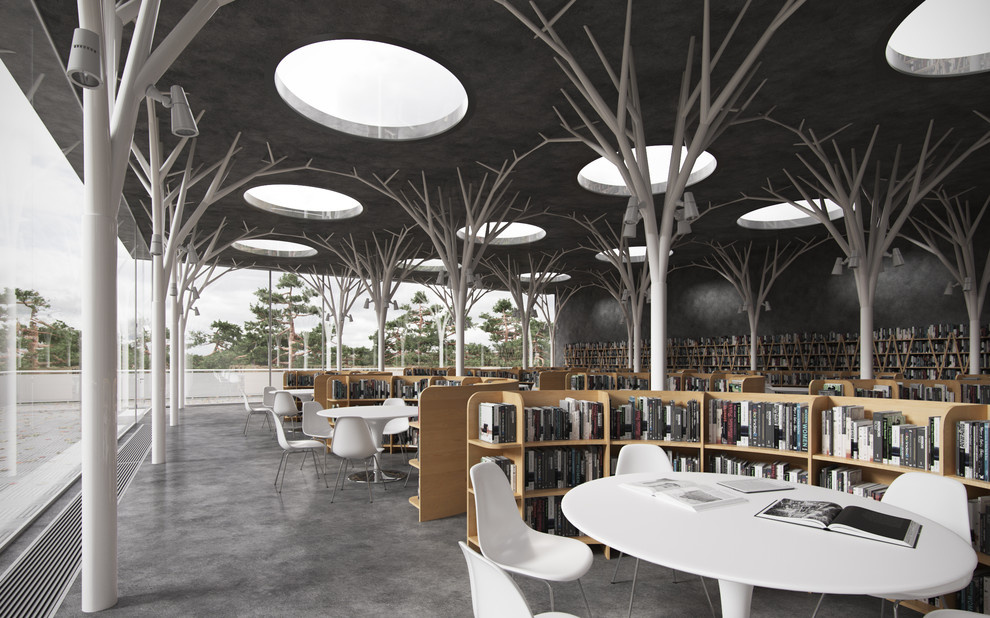 Concept of the library