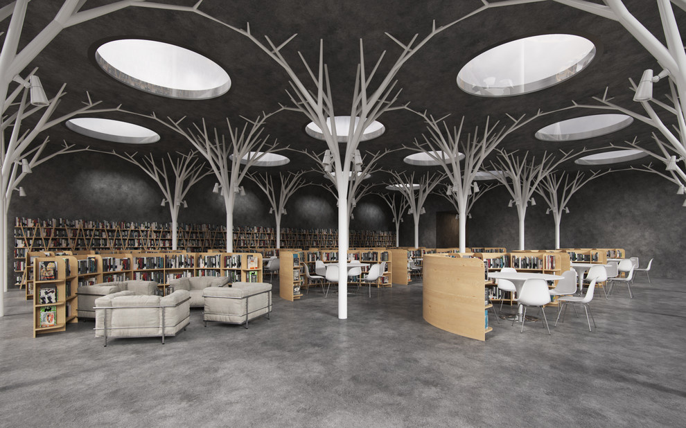 Concept of the library
