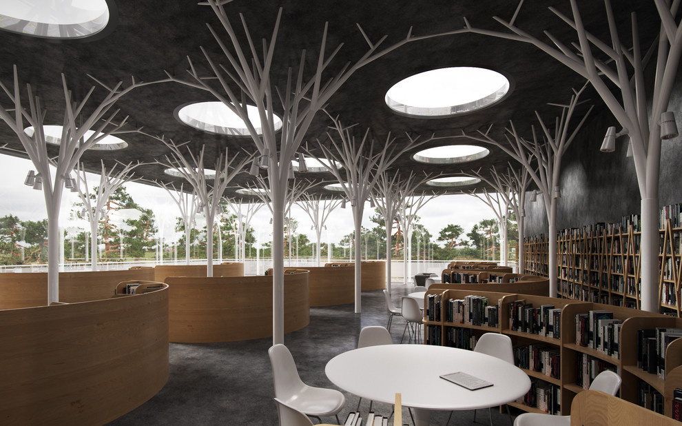 Concept of the library
