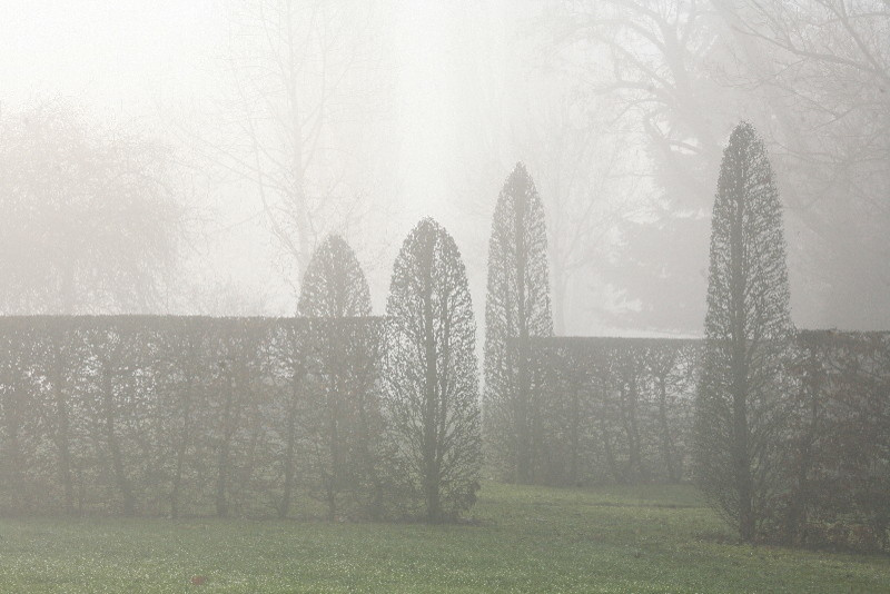IGPOTY