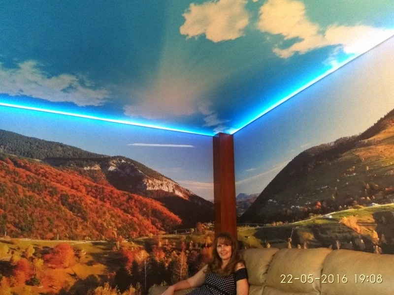 Favorite Design's Stretch ceiling