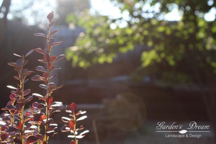 Геннадий Истратьев