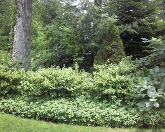 Ландшафтный дизайн в поселке "Эксклюзивный проект Millennium Park"
