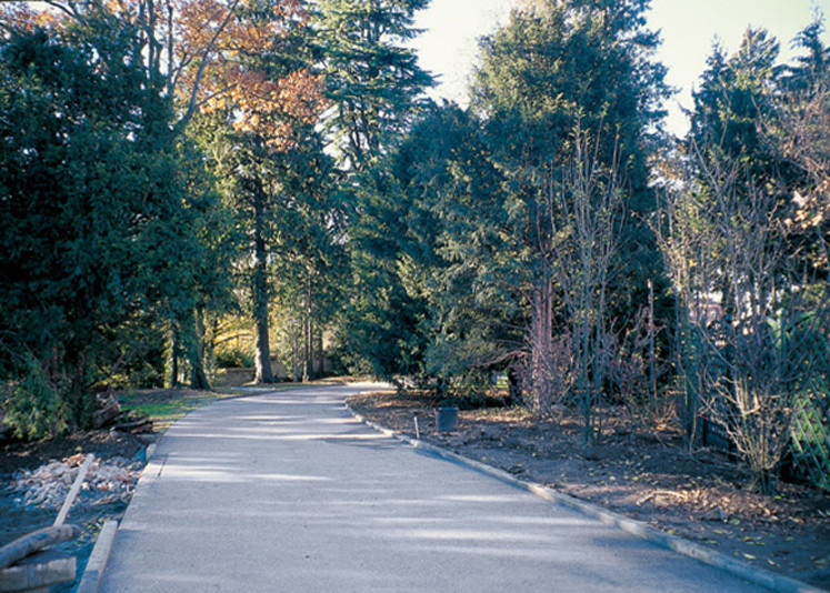 Dega®Carpet