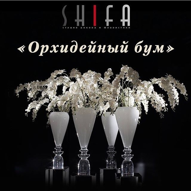 "ОРХИДЕЙНЫЙ БУМ" В SHIFA