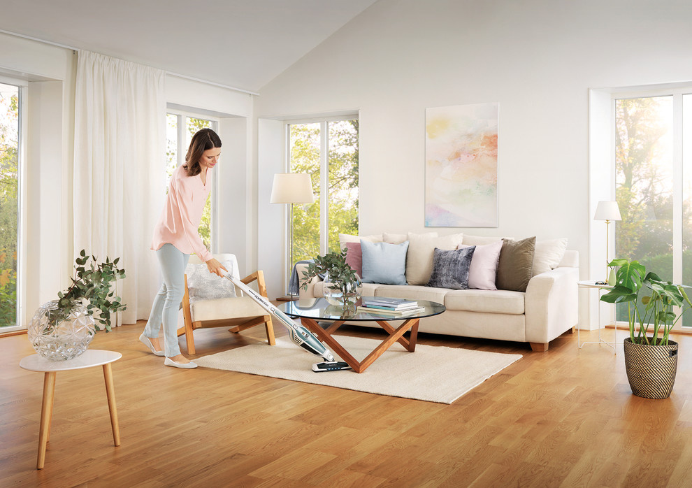 Electrolux Ergorapido Spring Edition