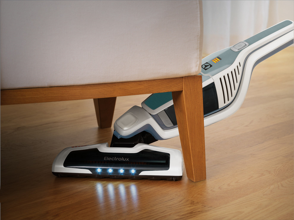 Electrolux Ergorapido Spring Edition