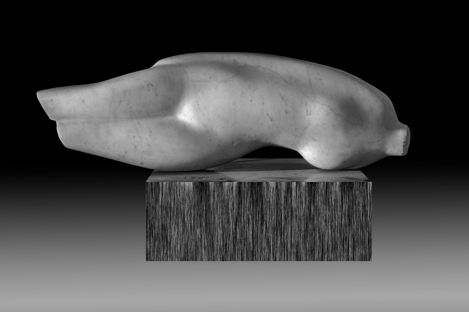 Torso