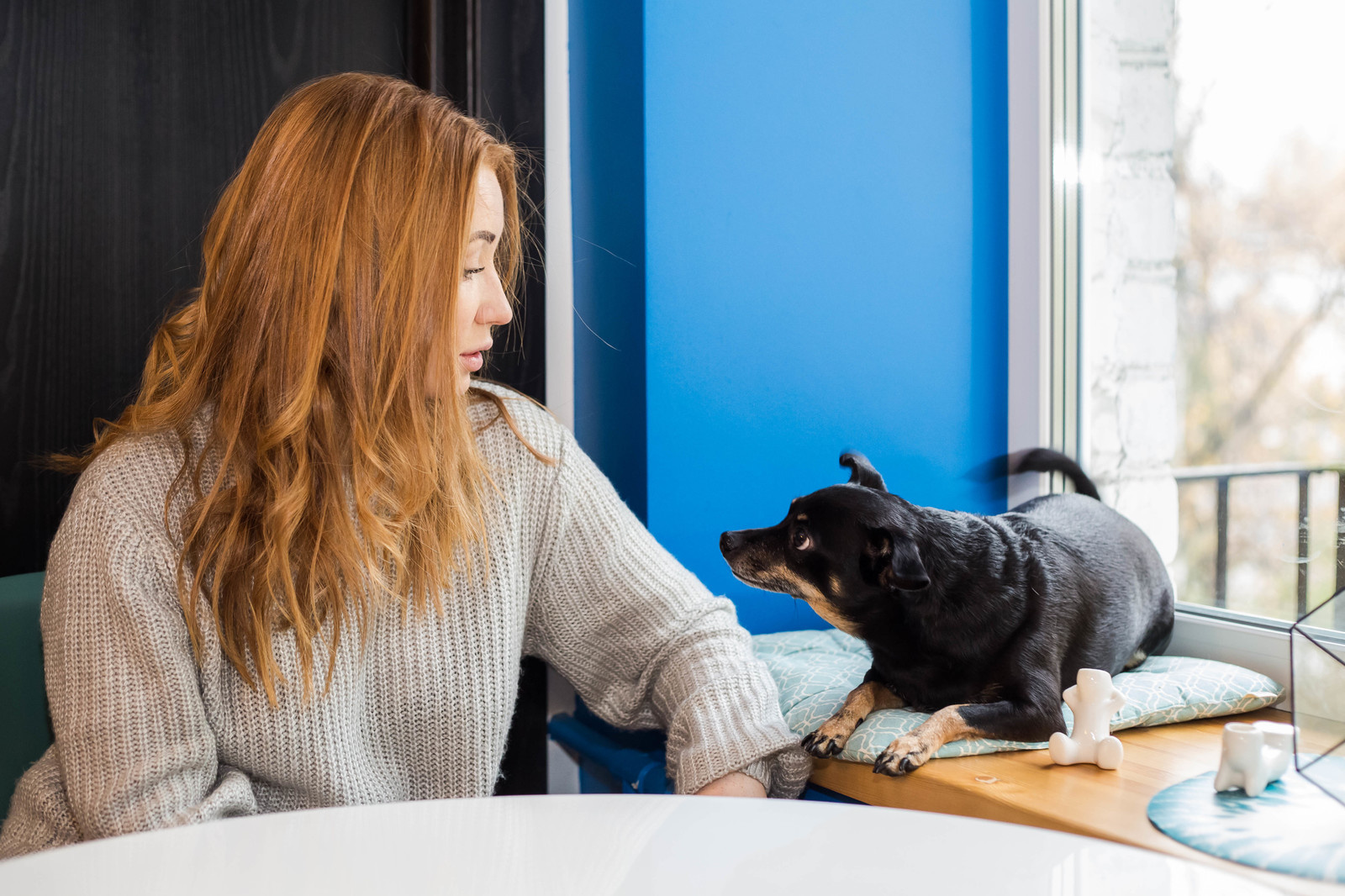 В гостях: Яркая квартира для двоих, не считая собаки