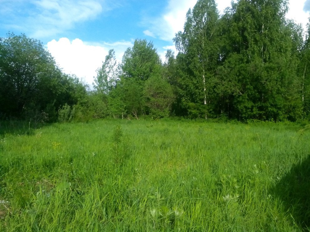 Проект 41.16