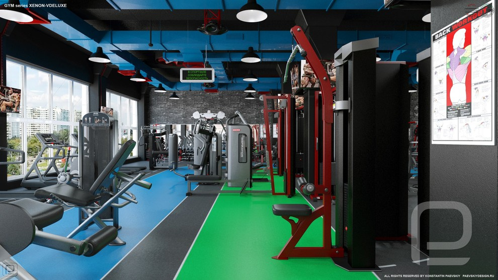 Тренажерный зал GYM series XENON-VDELUXE