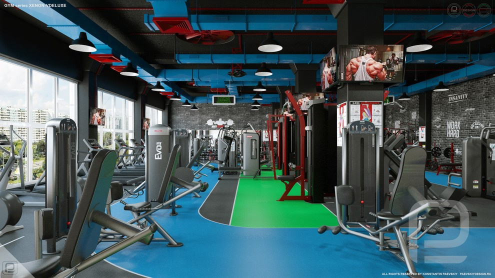 Тренажерный зал GYM series XENON-VDELUXE
