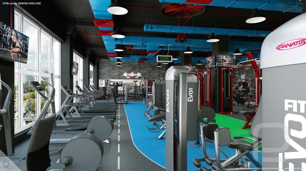 Тренажерный зал GYM series XENON-VDELUXE
