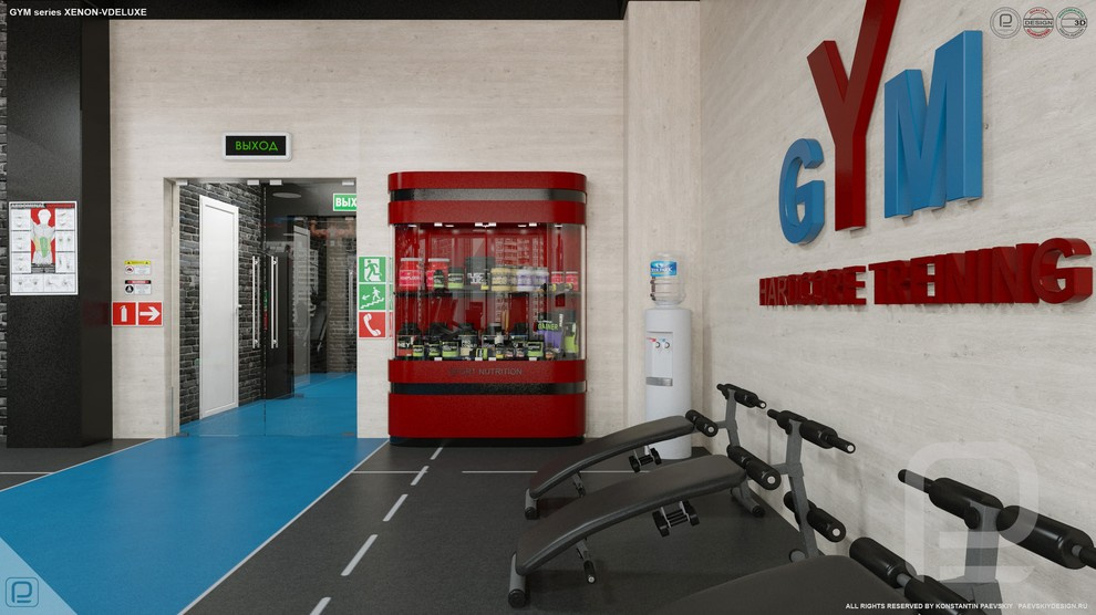 Тренажерный зал GYM series XENON-VDELUXE