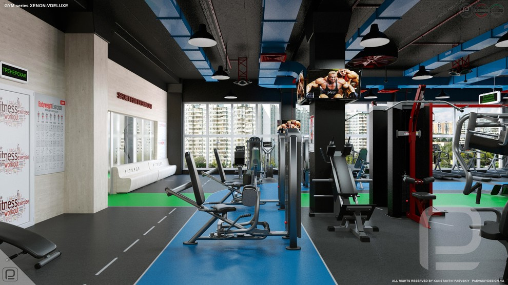 Тренажерный зал GYM series XENON-VDELUXE
