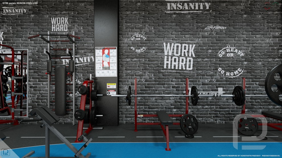 Тренажерный зал GYM series XENON-VDELUXE