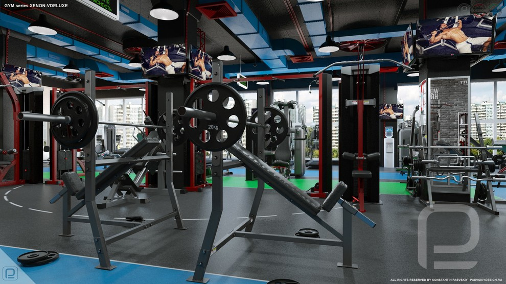 Тренажерный зал GYM series XENON-VDELUXE