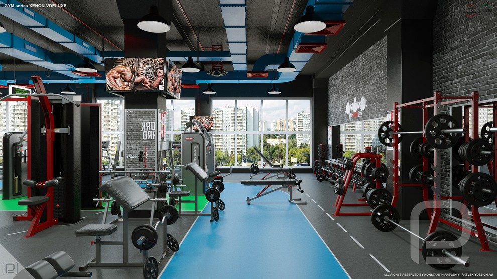 Тренажерный зал GYM series XENON-VDELUXE