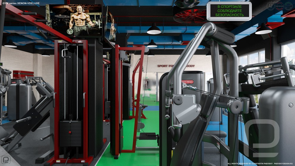 Тренажерный зал GYM series XENON-VDELUXE