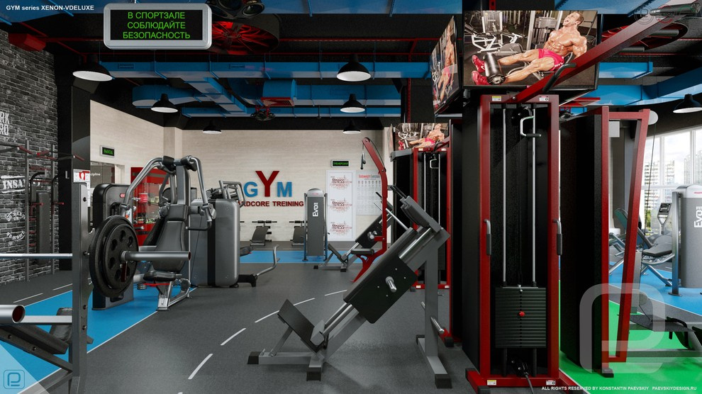 Тренажерный зал GYM series XENON-VDELUXE