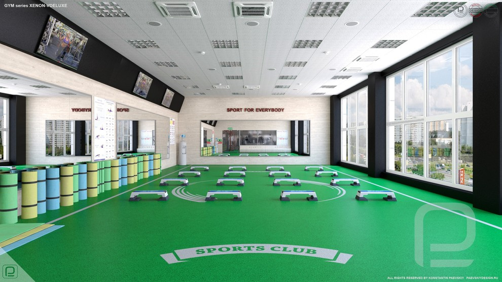 Зал групповых занятий GYM series XENON-VDELUXE