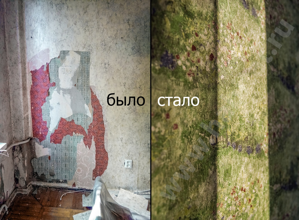Комната для умной девушки