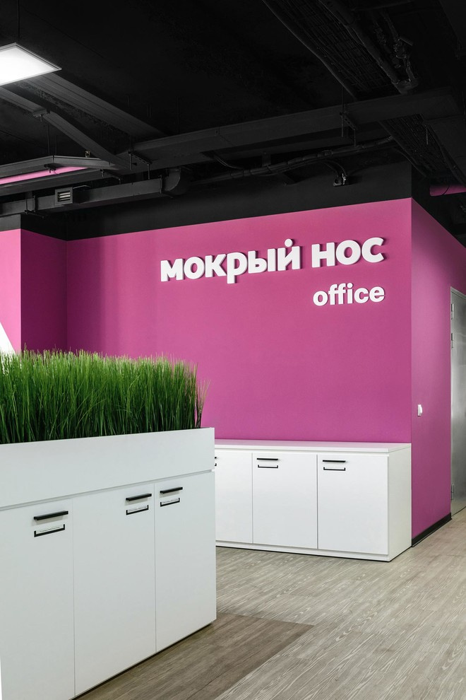 Офис "Мокрый нос"