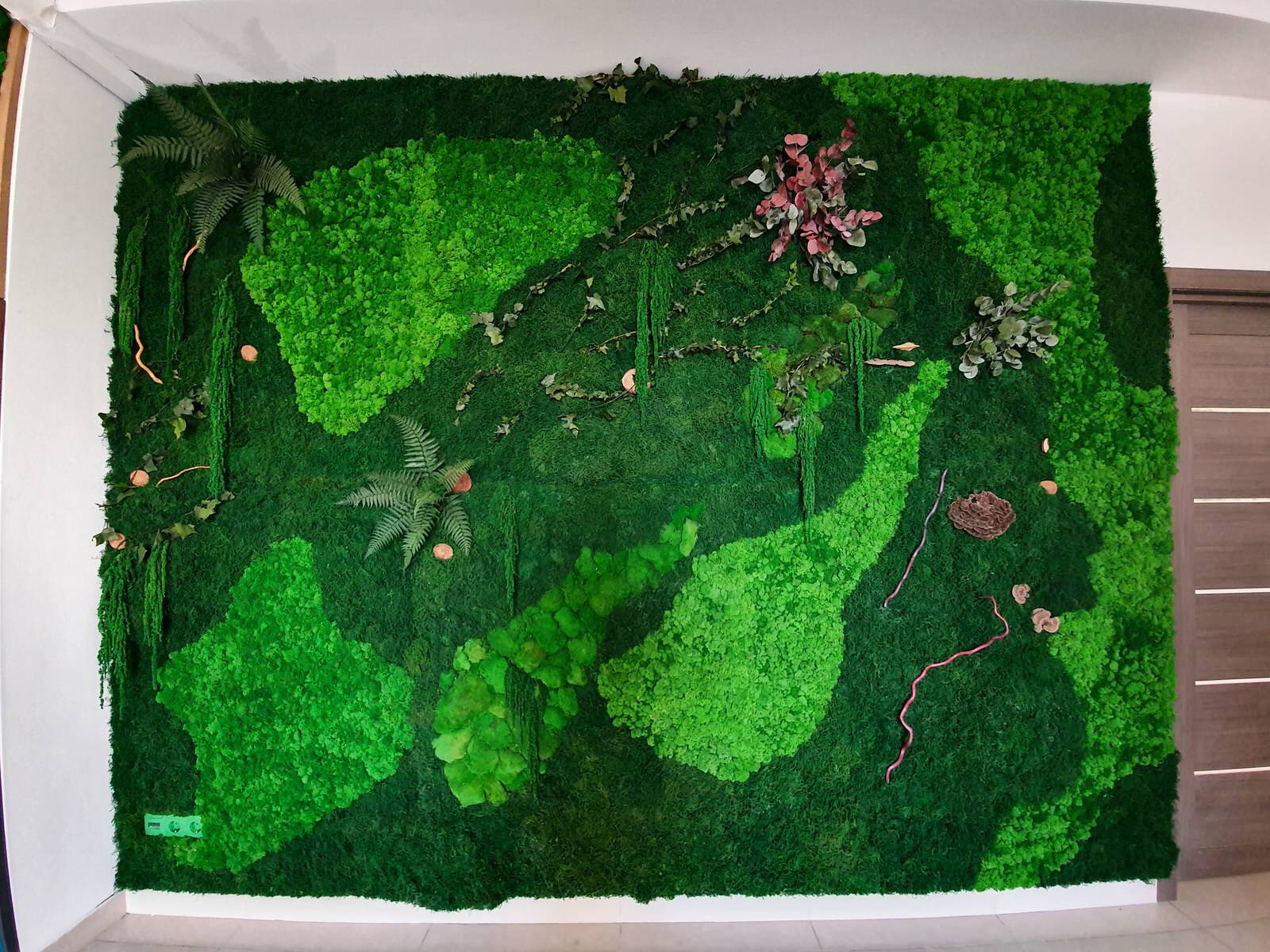 Unnamed Photo