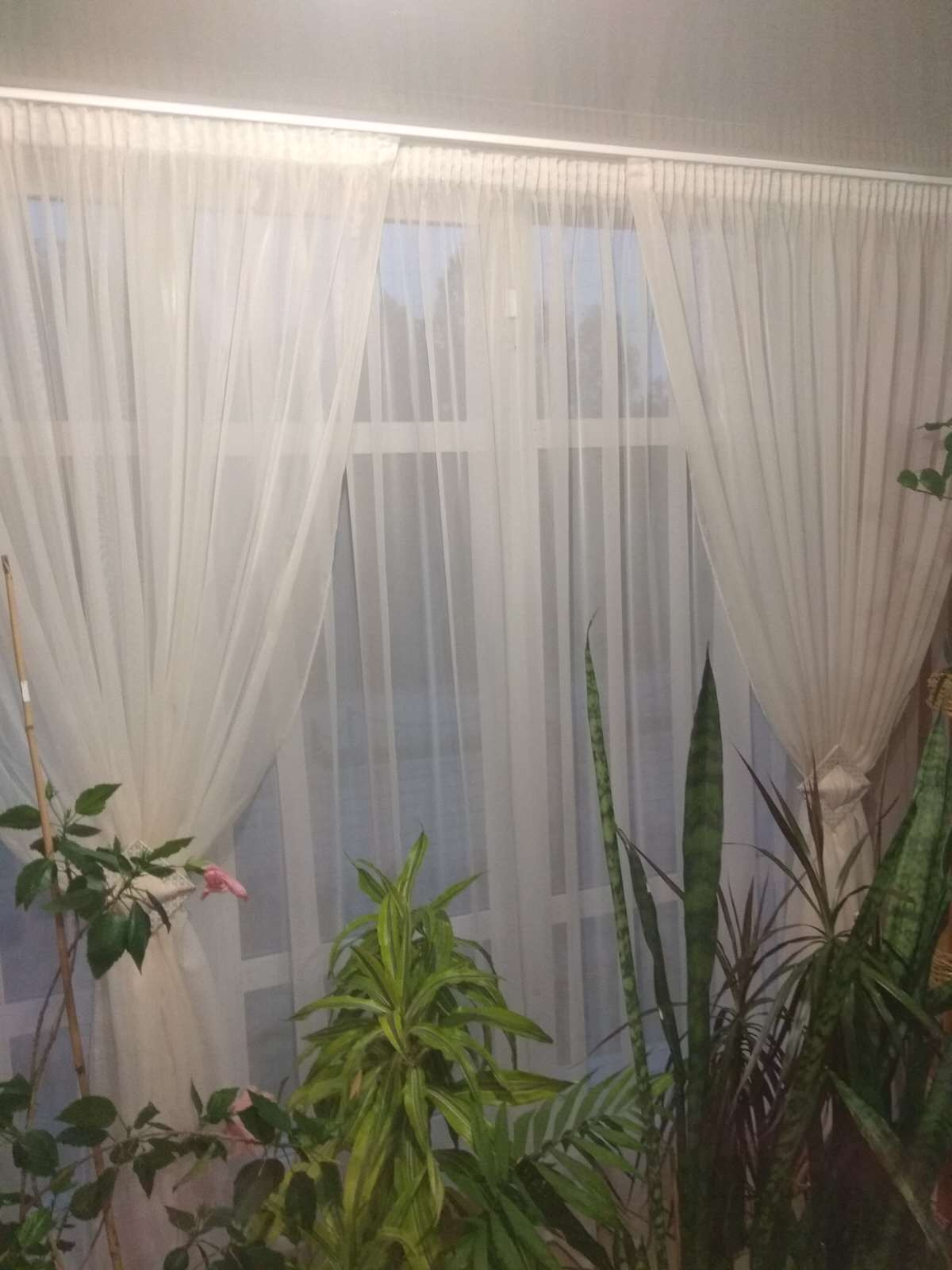 Наталья Фоменко