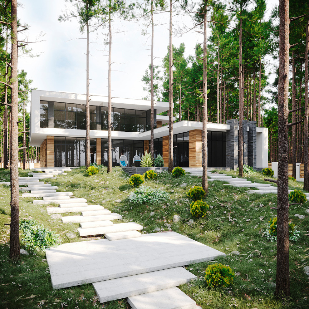 Обложка проекта: MODERN HOUSE #1