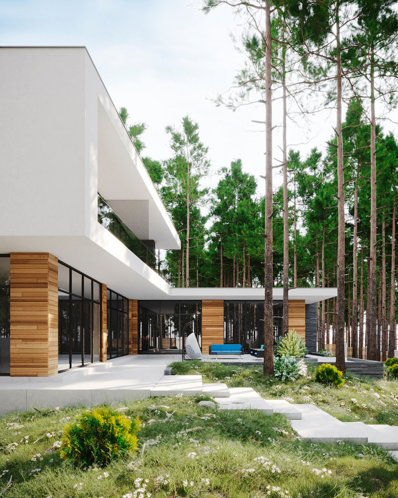 MODERN HOUSE #1