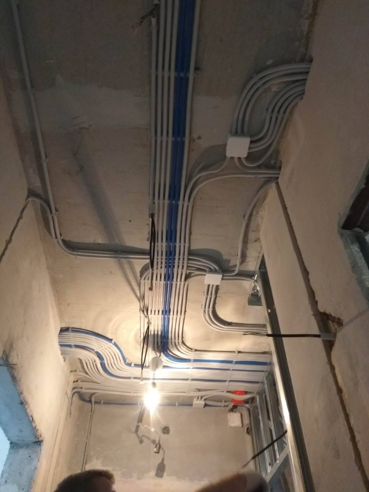 Тимур Даминов